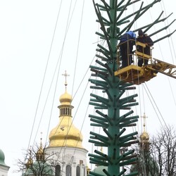 На Софийскую площадь в Киеве свезли десятки деревьев для монтажа главной новогодней елки - 