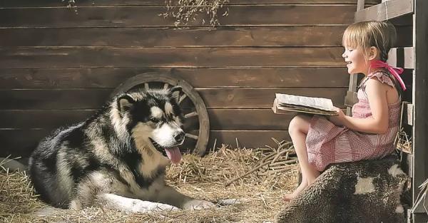 Финских детей учат читать собаки - Коронавирус