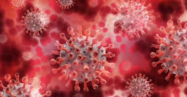 В Америке и Франции зафиксировали самое большое количество COVID-больных с начала пандемии - Коронавирус