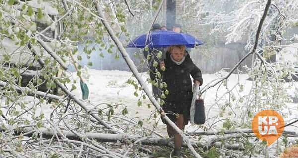 Прогноз погоды в Украине на 28 декабря - снегопады, метели, заносы, циклон и штормовое предупреждение - 