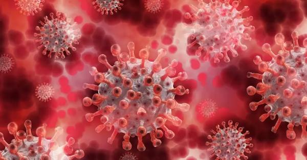 Ученые США предупредили, что «Омикрон» не станет последней мутацией коронавируса — Коронавирус