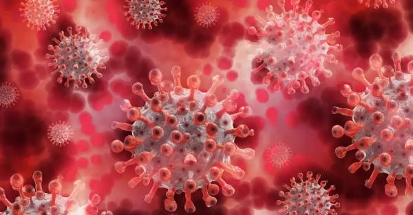 В ВОЗ заявили, что мир находится на критическом этапе пандемии COVID-19 - Коронавирус
