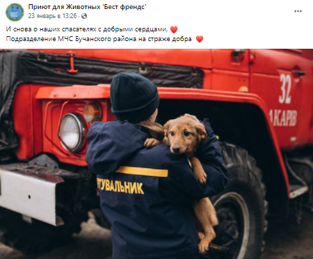 Спасатели Киевщины фотосессиями помогают бездомным животным (фото)