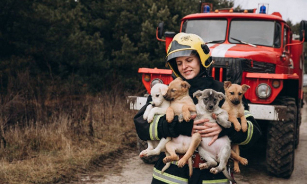 Спасатели Киевщины фотосессиями помогают бездомным животным (фото)
