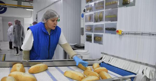 Почем хлеб для народа? Почему меры Кабмина по сдерживанию цен не сработают - Экономика