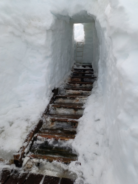 Украинские полярники показали, как откапывают "Академика Вернадского" после рекордного снегопада - Life