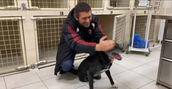 В Днепре живет собака, которая претендует на звание самой старой в Украине - Life
