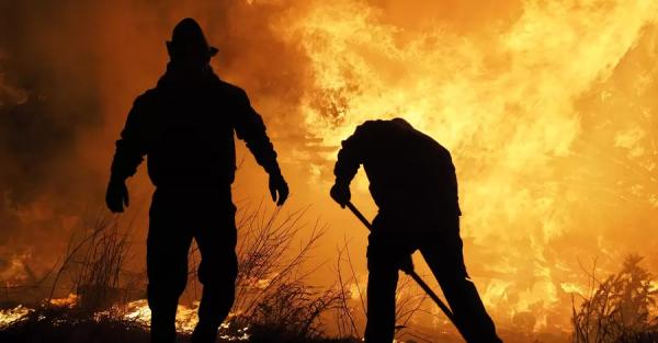 Ученые предупредили: в ближайшие годы число пожаров на планете резко увеличится, а тушить их станет сложнее - Life