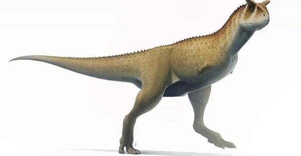 В Аргентине впервые обнаружены останки гигантского безрукого динозавра - Life