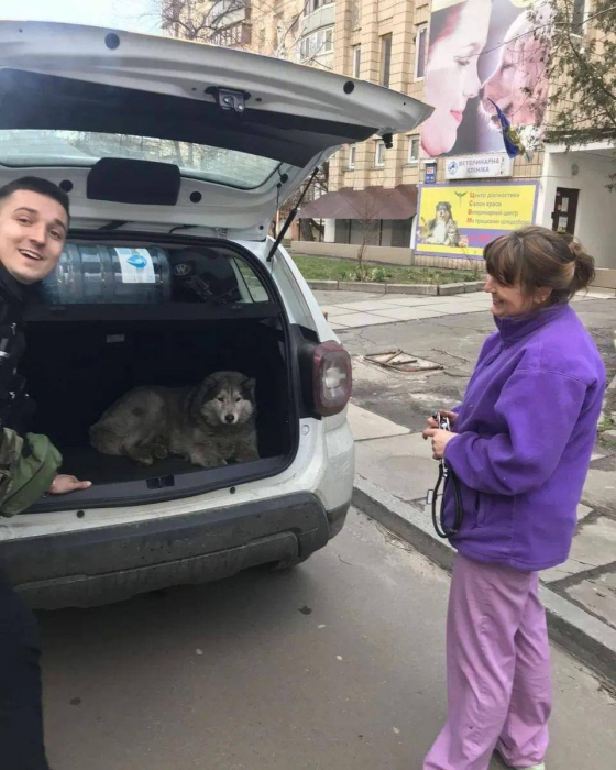 В Буче патрульные нашли в брошенной машине собаку и нашли для нее новый дом.