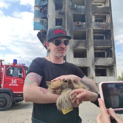 В Бородянке спасли кота, найденного в разрушенной высотке над пропастью в семь этажей - Life