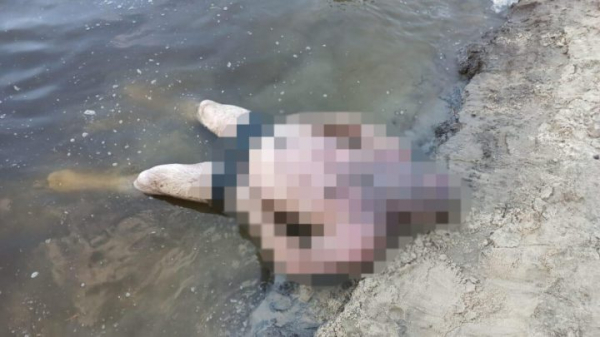 
У річці Десна дві доби шукали тіло потопельника. ФОТО +18	