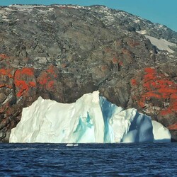 Украинские полярники показали раскрашенные лишайниками скалы Антарктиды - Life