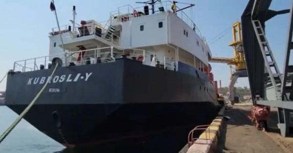 С начала возобновления экспорта зерна из украинских портов вышло 27 судов - Экономика
