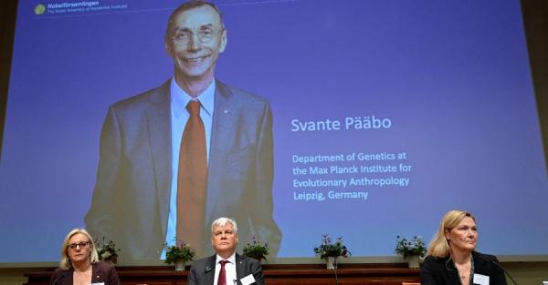 Лауреатом Нобелевской премии в области физиологии и медицины стал Сванте Паабо - Life