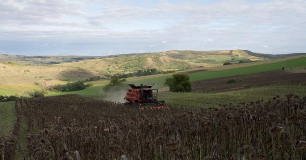 Изменение климата в Украине: пшеница не растет, фермеры переходят на экзотику - Life