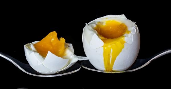 Антимонопольный комитет выясняет причины подорожания яиц - Экономика