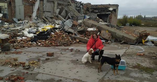 Спасение под обстрелами: волонтеры из Бахмута эвакуируют животных в безопасное место - Life