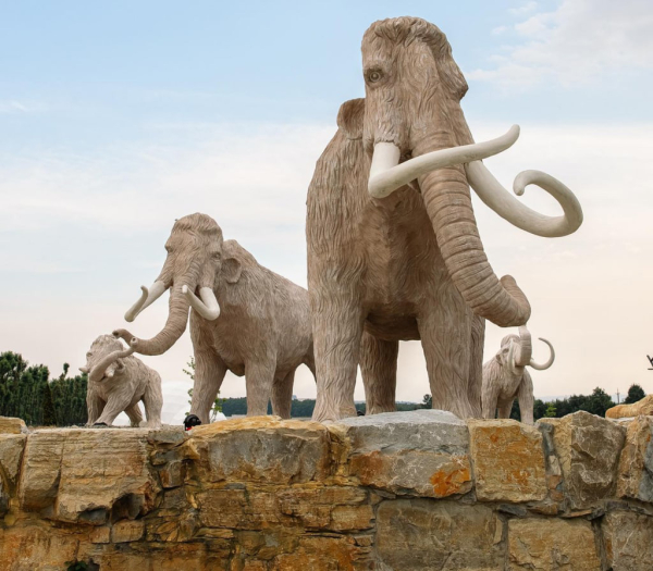 Парк Юрского периода в Прикарпатье: посидеть на мамонте и погладить древнего носорога - Life