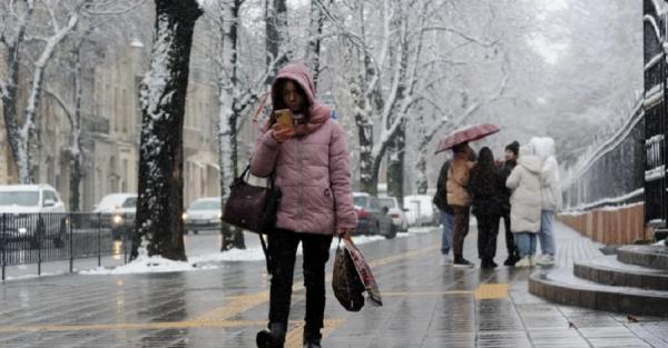 Погода на 22 февраля: на западе дождь, а на севере до 15 градусов мороза - Life