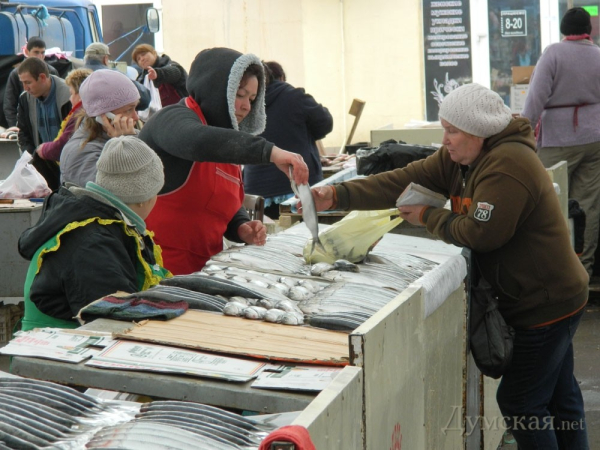Рыбаки из Вилково: Право ловить селедку продают на аукционе – цена от 60 000 гривен    - Life