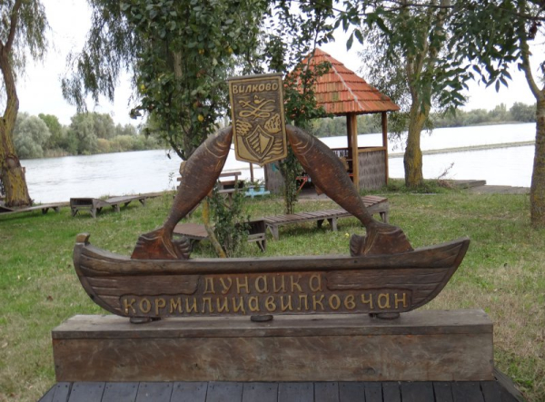 Рыбаки из Вилково: Право ловить селедку продают на аукционе – цена от 60 000 гривен    - Life