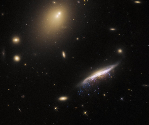 Телескоп Hubble сфотографировал необычную галактику в форме медузы - Life