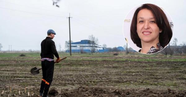 Эксперт Всемирного Банка Оксана Руженкова: Дачников и огородников ждет возврат в 90-е - Экономика