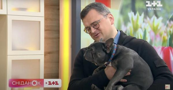 Кулеба показал подросшего пса Марика, которого спасли из Мариуполя - Life