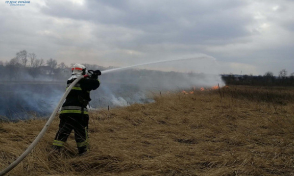 Впродовж двох діб на Київщині ліквідовано 19 пожеж в екосистемах (фото)