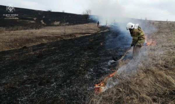 На Київщині за добу вигоріло близько 80 гектарів землі (фото)