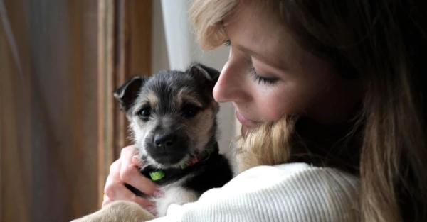 Замминистра Джапарова рассказала, как себя чувствует щенок Крым, спасенный на Донбассе вдовой "Да Винчи" - Life