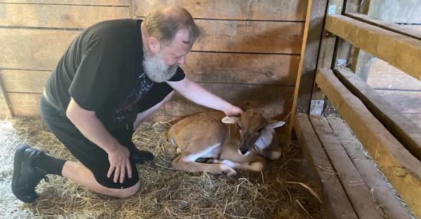 В зоопарке "XII Месяцев" на Киевщине родился малыш антилопы Канна  - Life