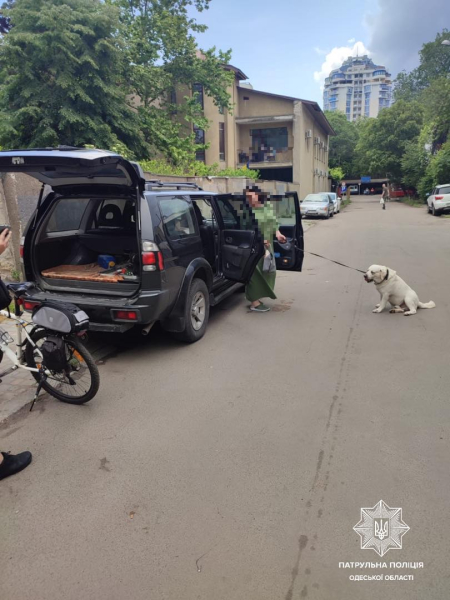 Одесские патрульные спасли собаку, которую хозяйка закрыла в автомобиле - Life