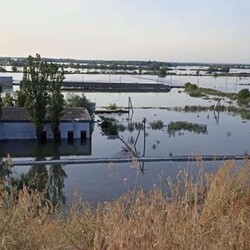 После подрыва Каховской ГЭС затоплен единственный в Украине осетровый завод - Life