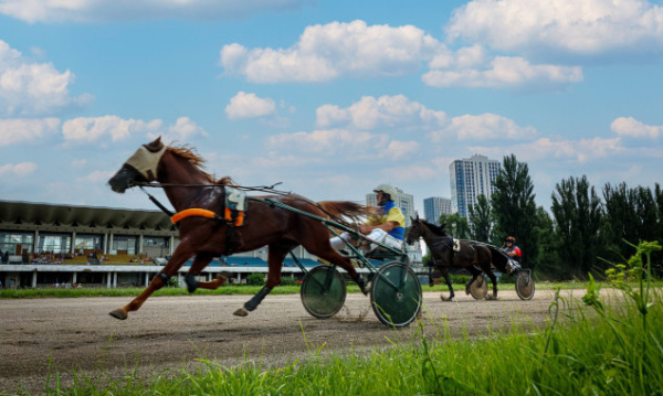 У неділю, 23 липня, на Київському іподромі пройдуть змагання коней рисистих порід
