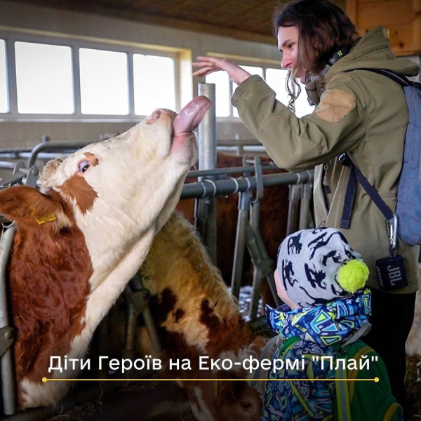 60 буйволов, не считая коз и овец. Как живет самая большая эко-ферма Восточной Европы - Life