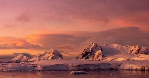 Украинские полярники показали удивительные фото Антарктиды в розовых цветах - Life