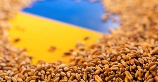 В Минэкономики рассказали про условия отзыва исков Украины в ВТО из-за зерна - Экономика