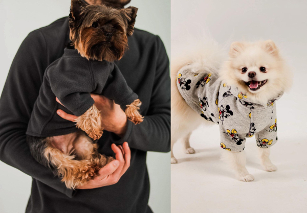 Дизайнер нарядов для домашних животных: За нашей одеждой приезжали из оккупации - Life