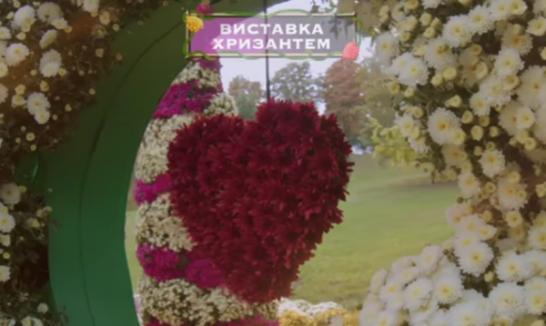 У п'ятницю у столичному парку Співоче відкриється виставка хризантем “Магічний сад” 