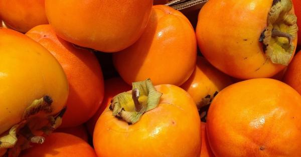 Китайский персик из Украины: наша хурма сладкая как испанская и не боится морозов - Life