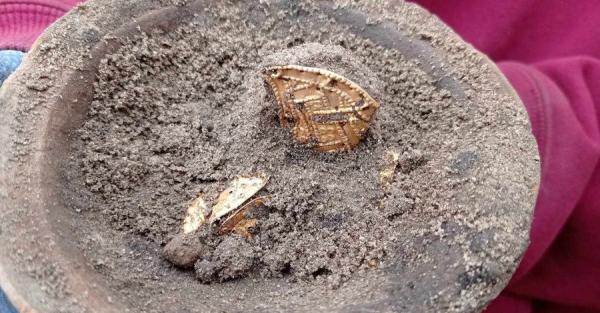 В Киевской области археологи нашли уникальные золотые украшения времен Гетманщины - Life