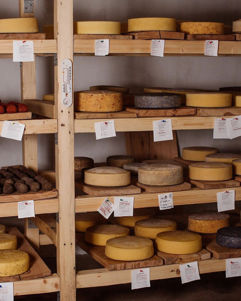 Изготовители сыра с луком и синим чаем из Закарпатья: На наши эксперименты молока не хватает - Life