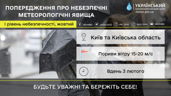 Жителів Києва та області попереджають про сильні пориви вітру в суботу, 3 лютого