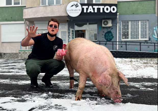 В Киеве полиция проверит тату-салон, где хотели набить тату на живой свинье. 
