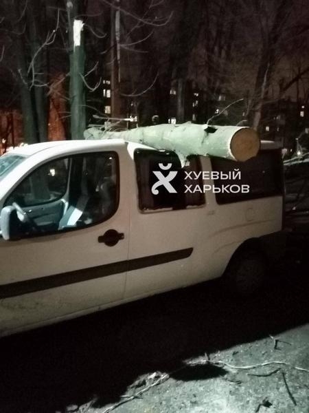 По Харькову прошелся штормовой ветер, оставив после себя поваленные деревья и разбитые машины   - 