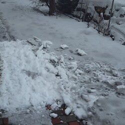 В черном снеге из Ивано-Франковской области обнаружили повышенное содержание ртути - 