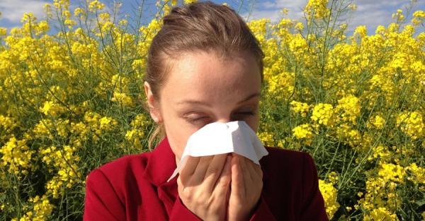 Сезон аллергии: стресс усиливает неприятные симптомы - Life