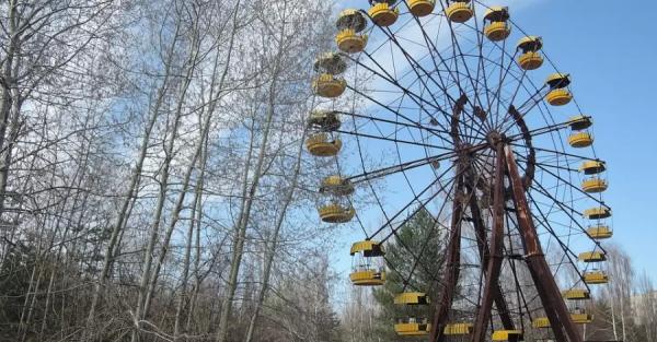 В Чернобыльской зоне впервые заметили рогатого жаворонка. Но у него нет рогов, это такой вид - 